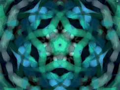 Astral Blossom iPad image 4