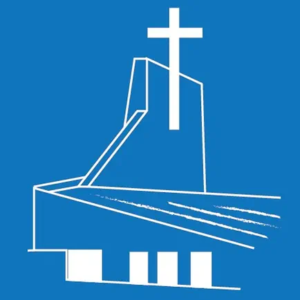 St Bernadettes Читы