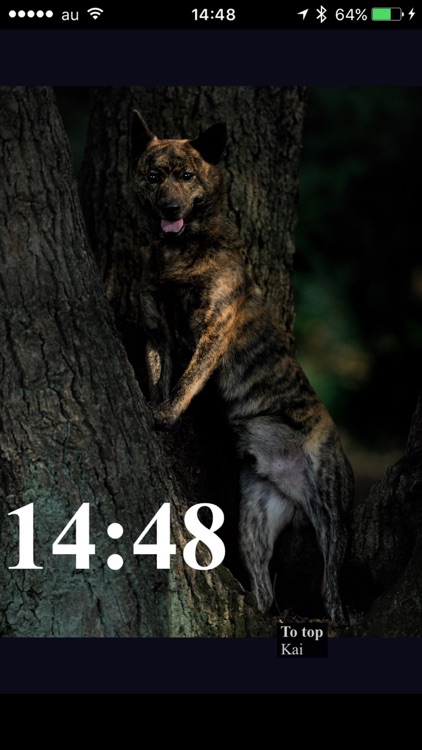 Moment - Time of dogs.