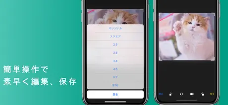 中拓云仓