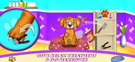Labrador Pet Daycare