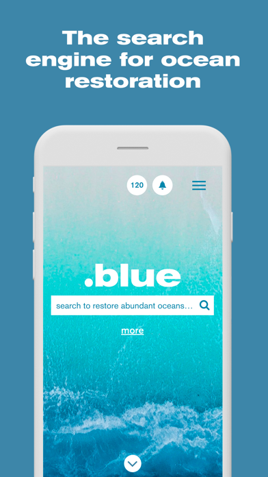 .blue Search Screenshot