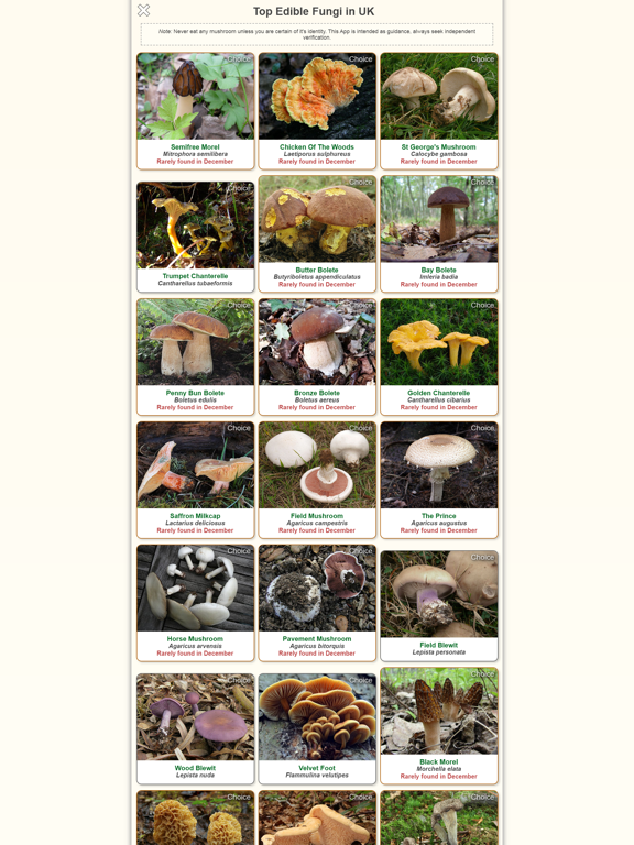 Screenshot #4 pour Shroomify - Mushroom ID