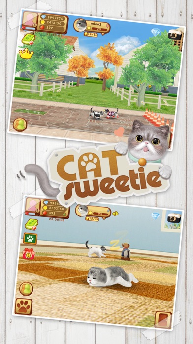 Cat Sweetie Screenshot
