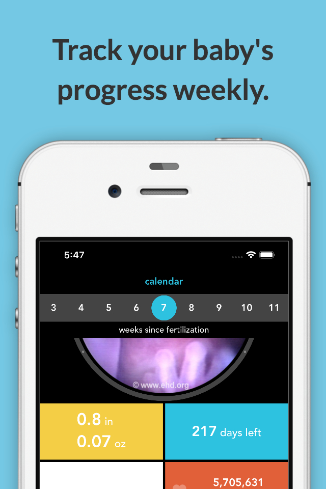 MyBaby Pregnancy Guide