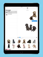 labradoodle stickers iPad Captures Décran 1