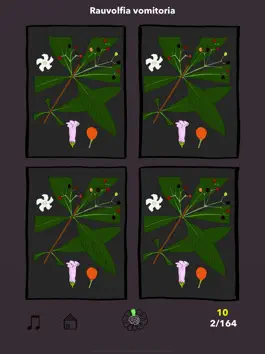 Game screenshot The Tree Seasons hack