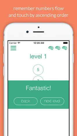 Game screenshot Remember Flow - Brain test apk