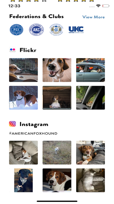 Dogs Pedia: Breed identifier Screenshot