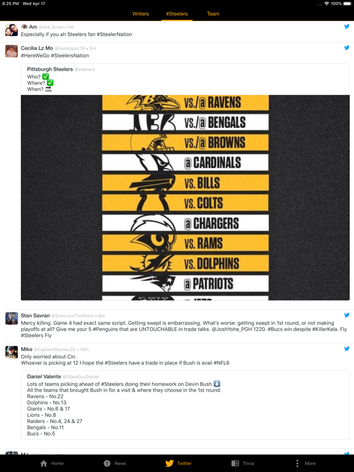 Steelers UltimateFan