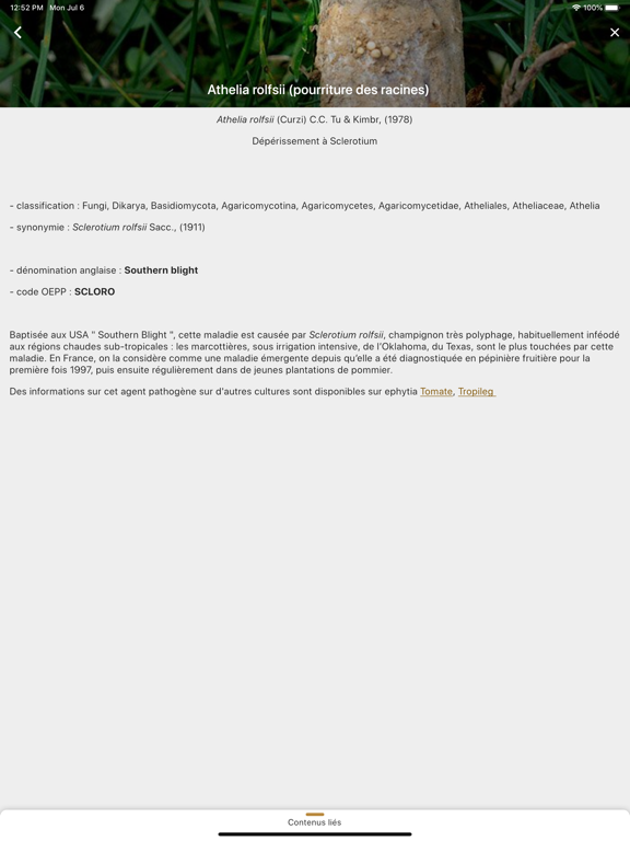 Screenshot #6 pour Di@gno-Pom