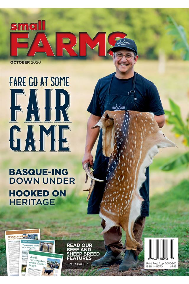 Small FARMS Magazine