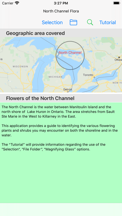 NCFlowers Screenshot