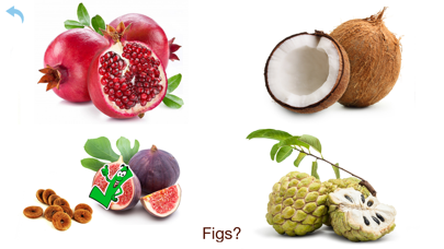 Fruits & Vegetables HD Screenshot