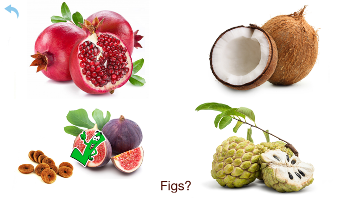 Fruits and Vegetables HD