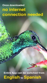 All Birds PR -> Antigua screenshot