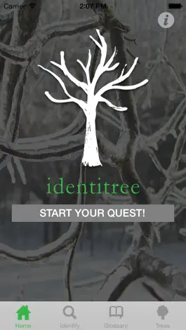 Game screenshot Identitree Starter Kit mod apk