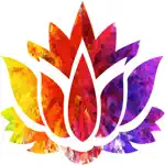 Meta Ambiance - Meditation App Positive Reviews