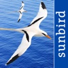 All Birds PR -> Antigua icon