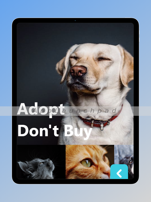 領養浪我回家: 救救流浪貓狗 iPad screenshot 1 - Reference app
