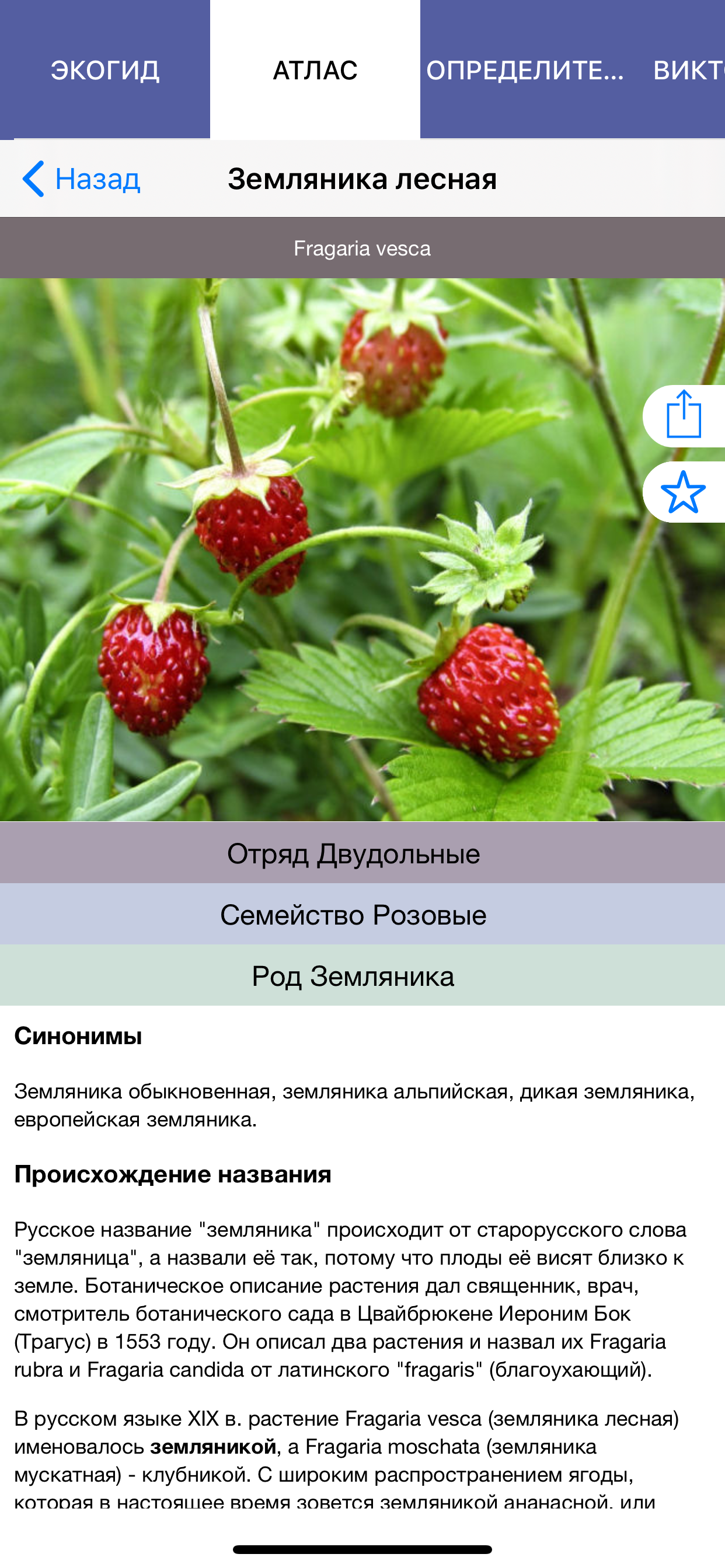 Экогид - Ягоды screenshot 5