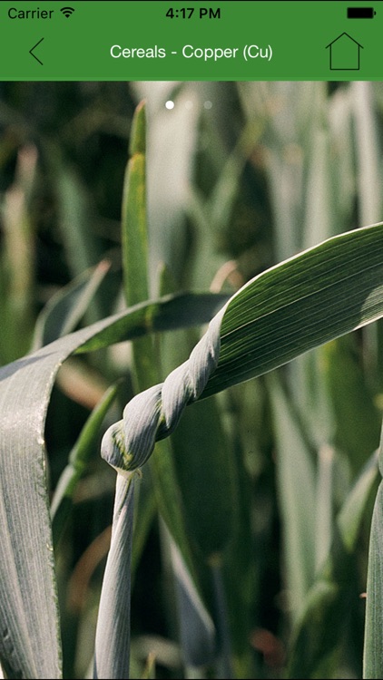 Tradecorp Nutri-performance