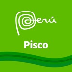 Download Pisco app