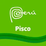Pisco App Contact