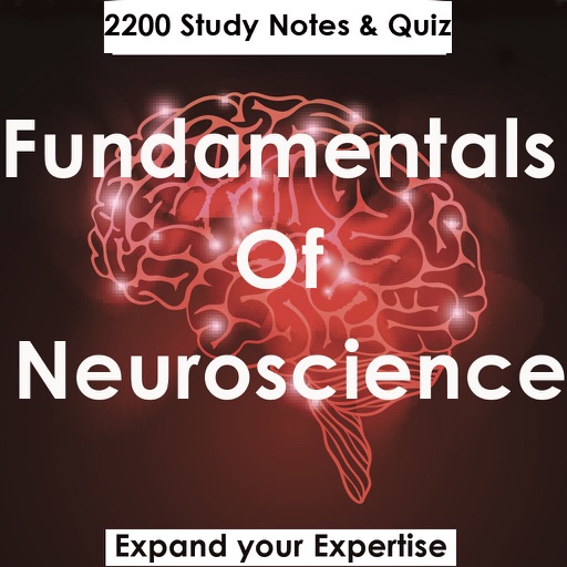 Fundamentals Of Neuroscience