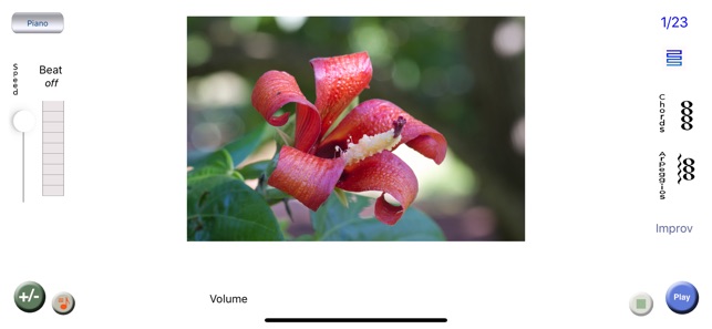Phusic - Photo Music Player(圖3)-速報App