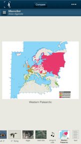 Birds of Northern Europe screenshot