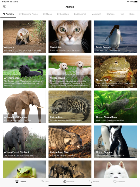 Animal Facts (Animal World) iPad screenshot 5 - Entertainment app