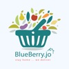 BlueBerry JO icon