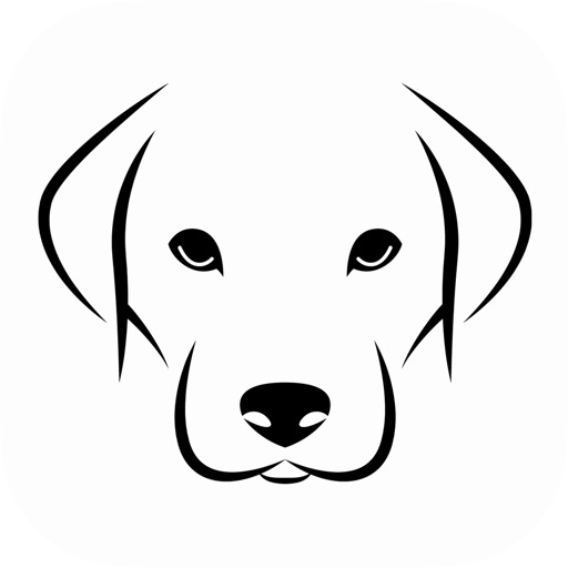 Woof Woof Daycare & Boarding