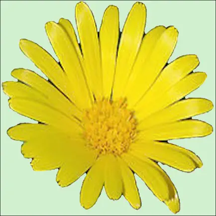 Treat Yourself - Homoeopathy Cheats