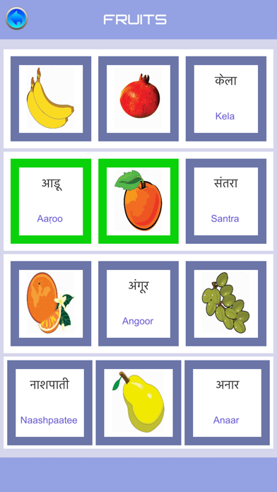 Hindi USA Flashcards screenshot 4