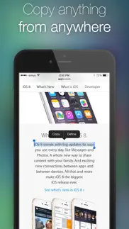 clipboard plus | copy widget айфон картинки 4