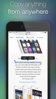 clipboard plus | copy widget iphone screenshot 4