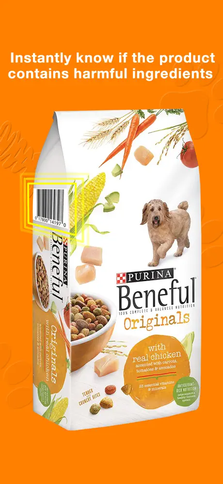 Safe Pet Treats