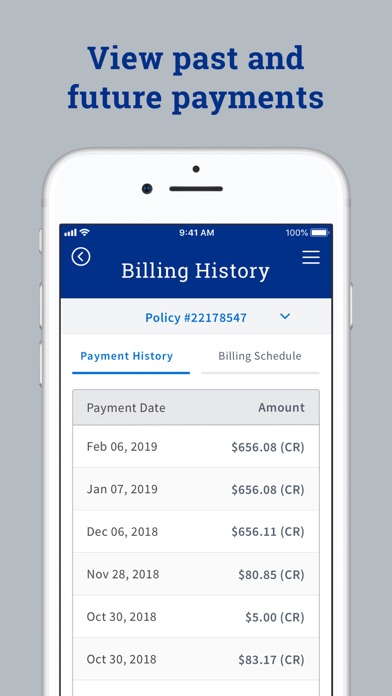 Farmers Insurance Hawaii Screenshot