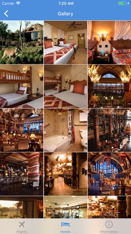 TRAVELO Flights, Hotels & Cars screenshot-9