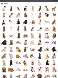 Dog Pack Stickers ipad bilder 0