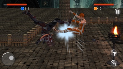 Super Hero Fighting Legends Screenshot