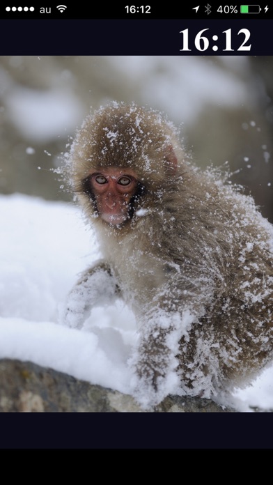 Snow Monkeys screenshot 3