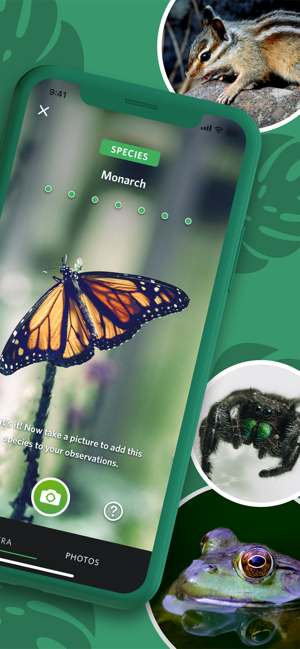 ‎Seek por iNaturalist Screenshot