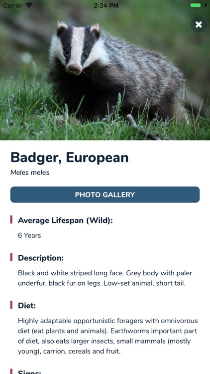 Mammal Mapper