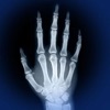 Skeletal Anatomy 3D - iPhoneアプリ