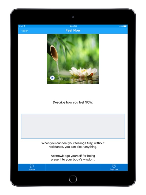 Screenshot #4 for iClearIt