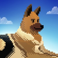 Dog Shelter Rescue pour PC