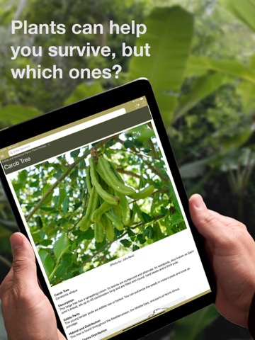 Wild Plant Survival Guideのおすすめ画像1